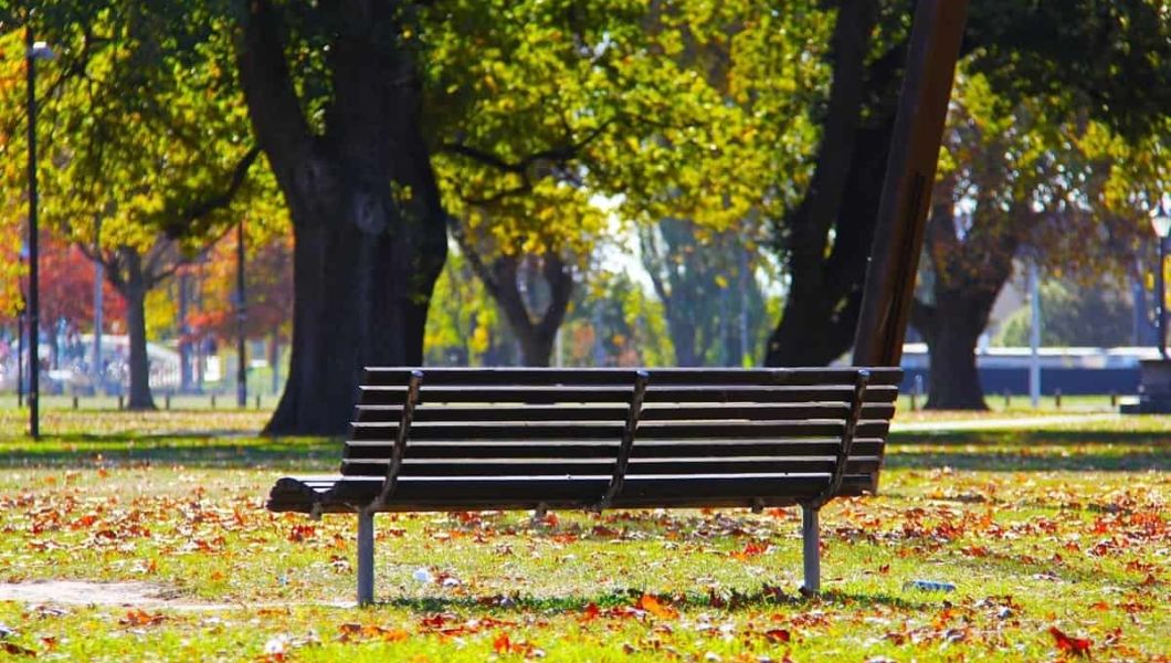 A bench in a park in autumn