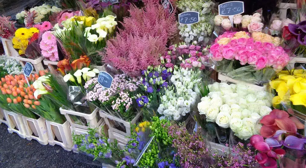 Stall full of flowers at Columbia Road flower market