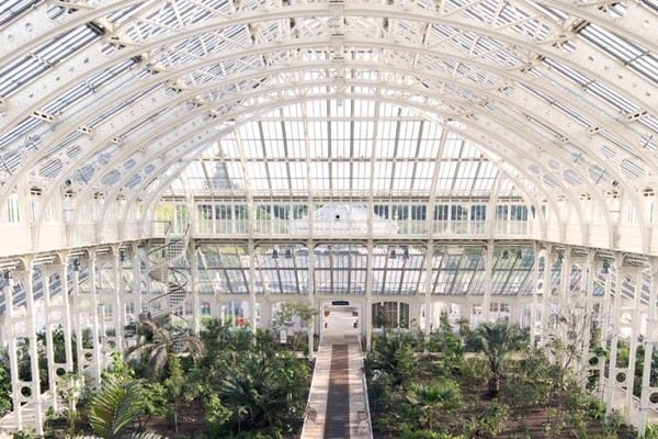 Inside a greenhouse in Kew Gardens