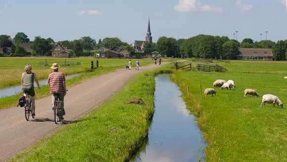 People cycling in the countryside