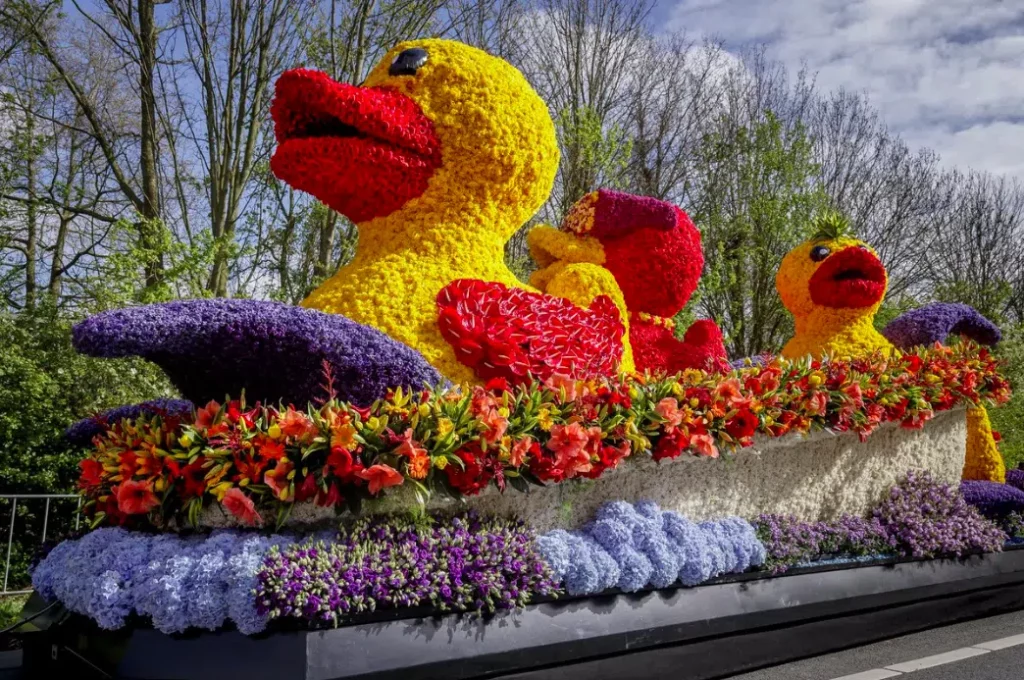 Flower ducks in a bathtub during the Amsterdam Tulip Festival Parade
