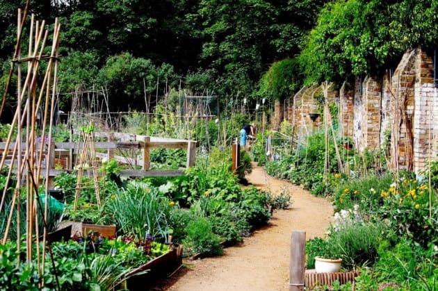 Walled garden areas as part of Open Gardens Weekend in London