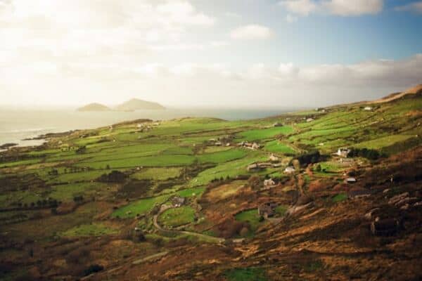 Green landscape on the coast of Ireland